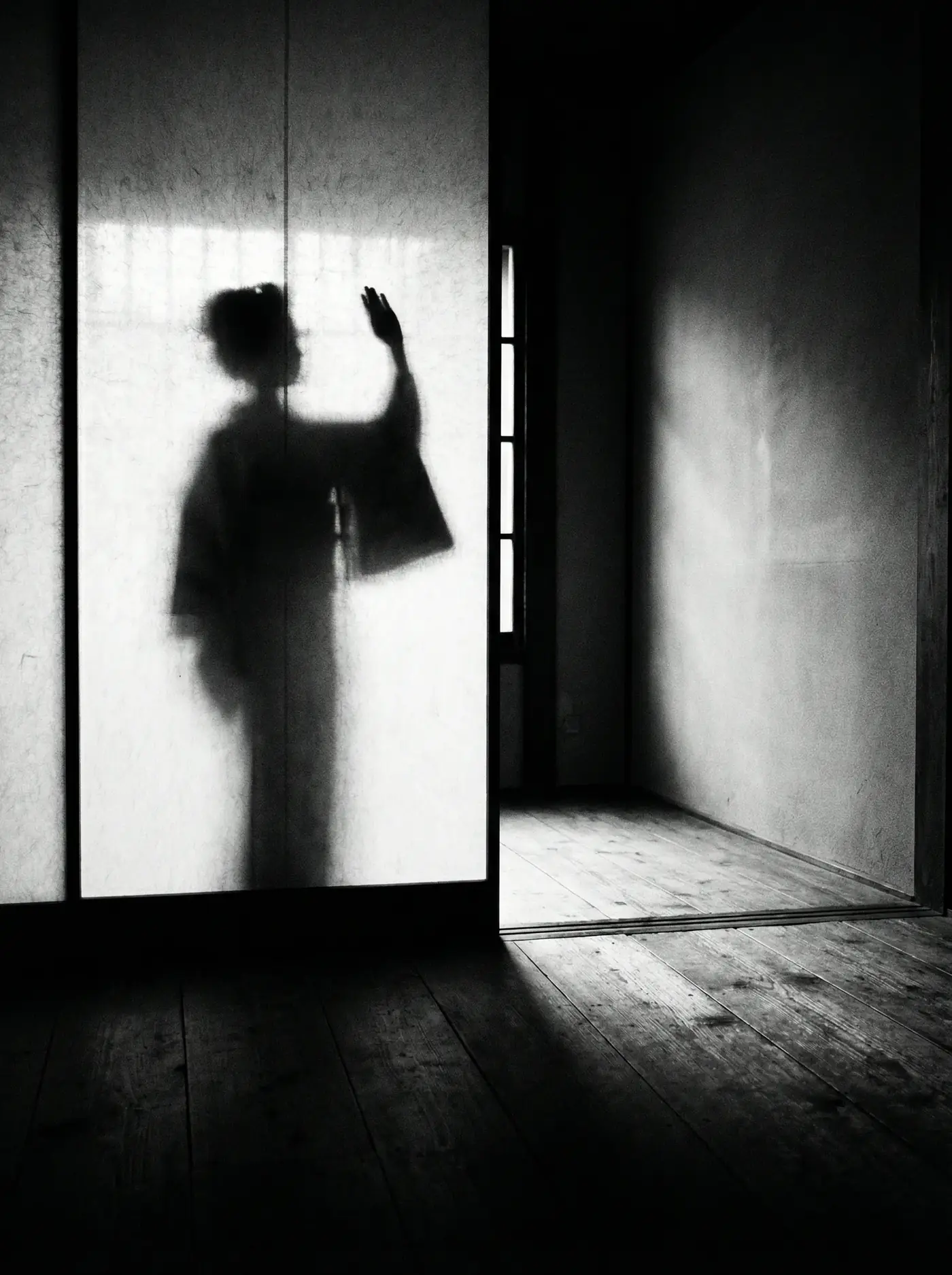 香蕉视频 - 暗影独白系列作品三